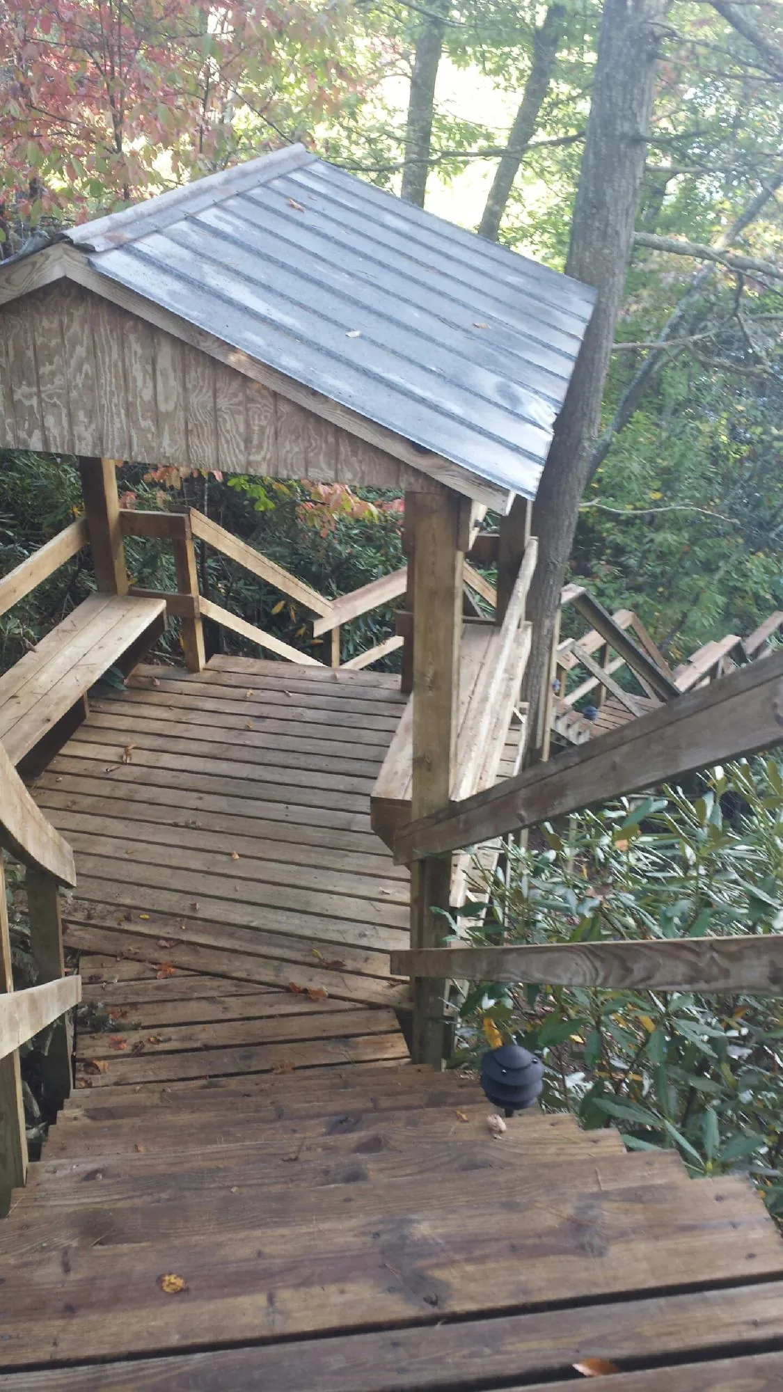 Metal roofed shelter over wooden steps on a wooded walkway — Skylight Repair & Installation work by our crew in Bemidji
