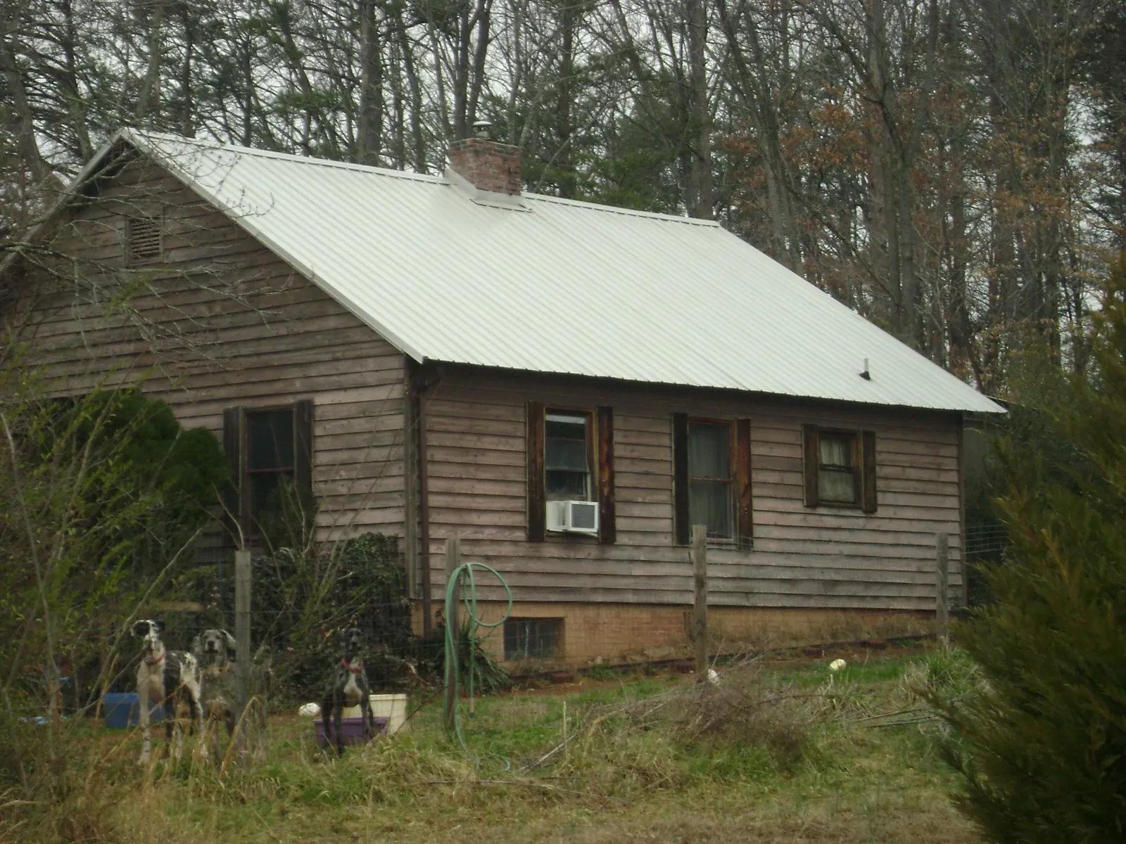 White metal roof on an old wood sided farmhouse, from a Asphalt Shingle Roof Repair job in Bemidji